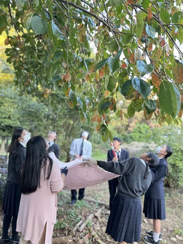 나무 아래에서 천을 펼쳐 들고 가지를 올려다보는 학생과 선생님들